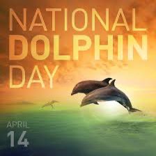 #NationalDolphinDay