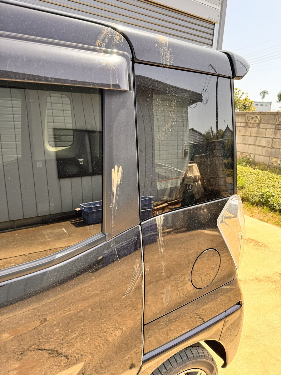 猫よ、なんでそこから登る？