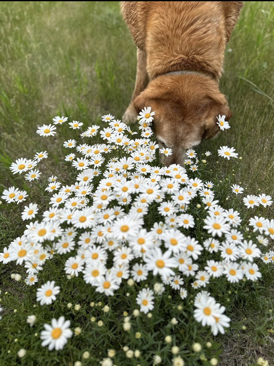 Kristi A. Hastings tweet media