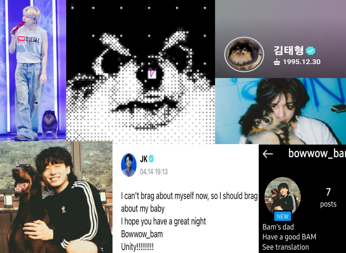 mhereonlyforbts's tweet photo. the fact jungkook adopted Bam coz he was the only puppy not receiving any milk from his mother, he didn't dock bam's tail or crop ears even though most doberman owners does it and now even creating an ig account just for him. Taehyung adopting Tannie despite his health problems, putting his pic everywhere even dedicating his debut album & a stage for him... they are such an angels🥺😭