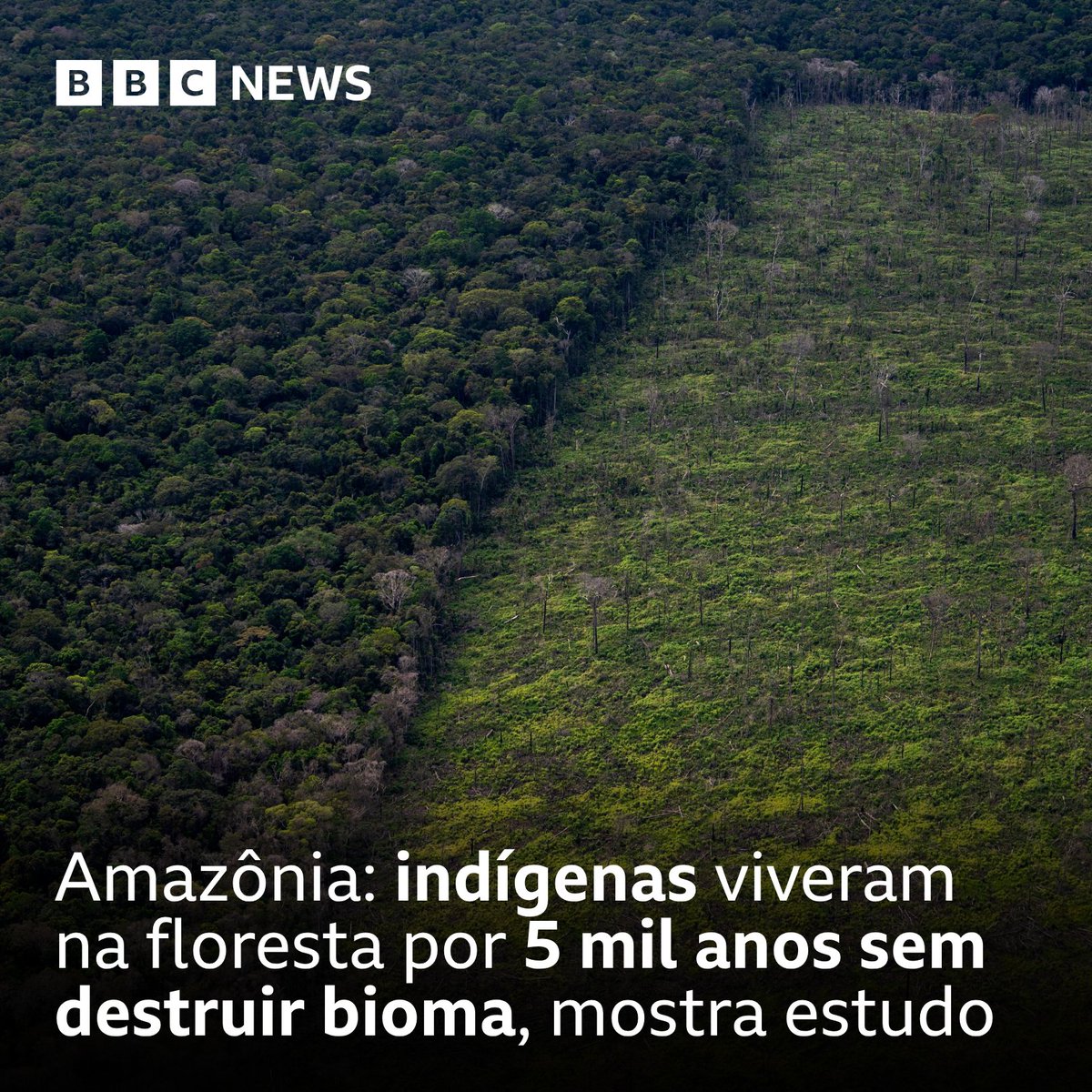 BBC News Brasil tweet media