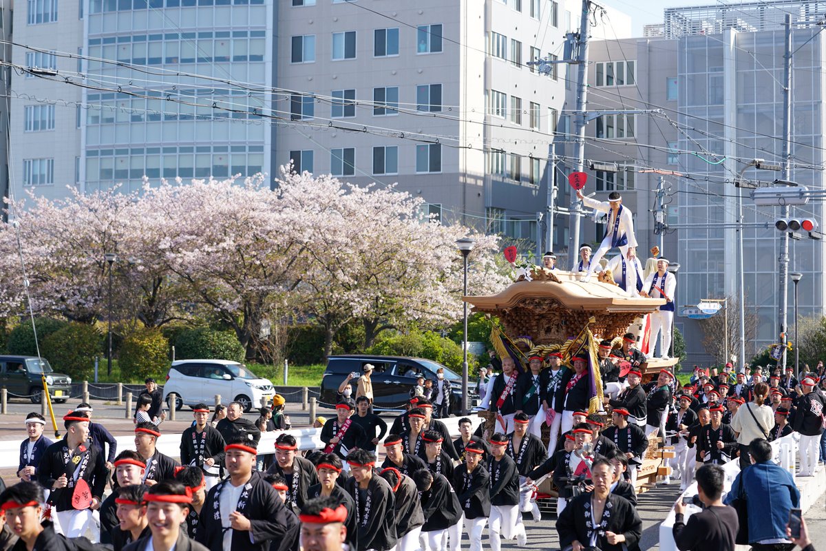 petit_S55's tweet photo. 本日も少し残っていた「桜とだんじり」が撮れました😆

新村への行きと帰りで📸

R6.4.14撮影
#北新町入魂式 https://t.co/SzSgGyewej