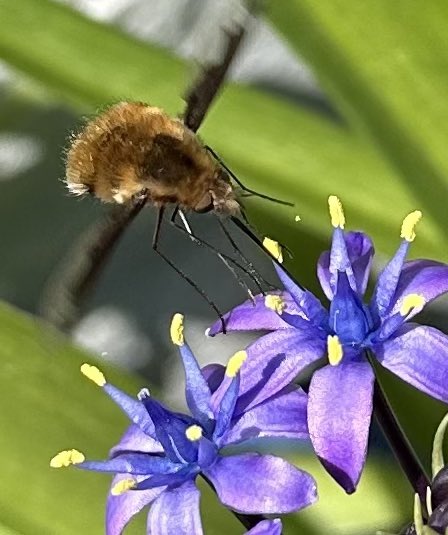 Dr Liz O'Riordan tweet media