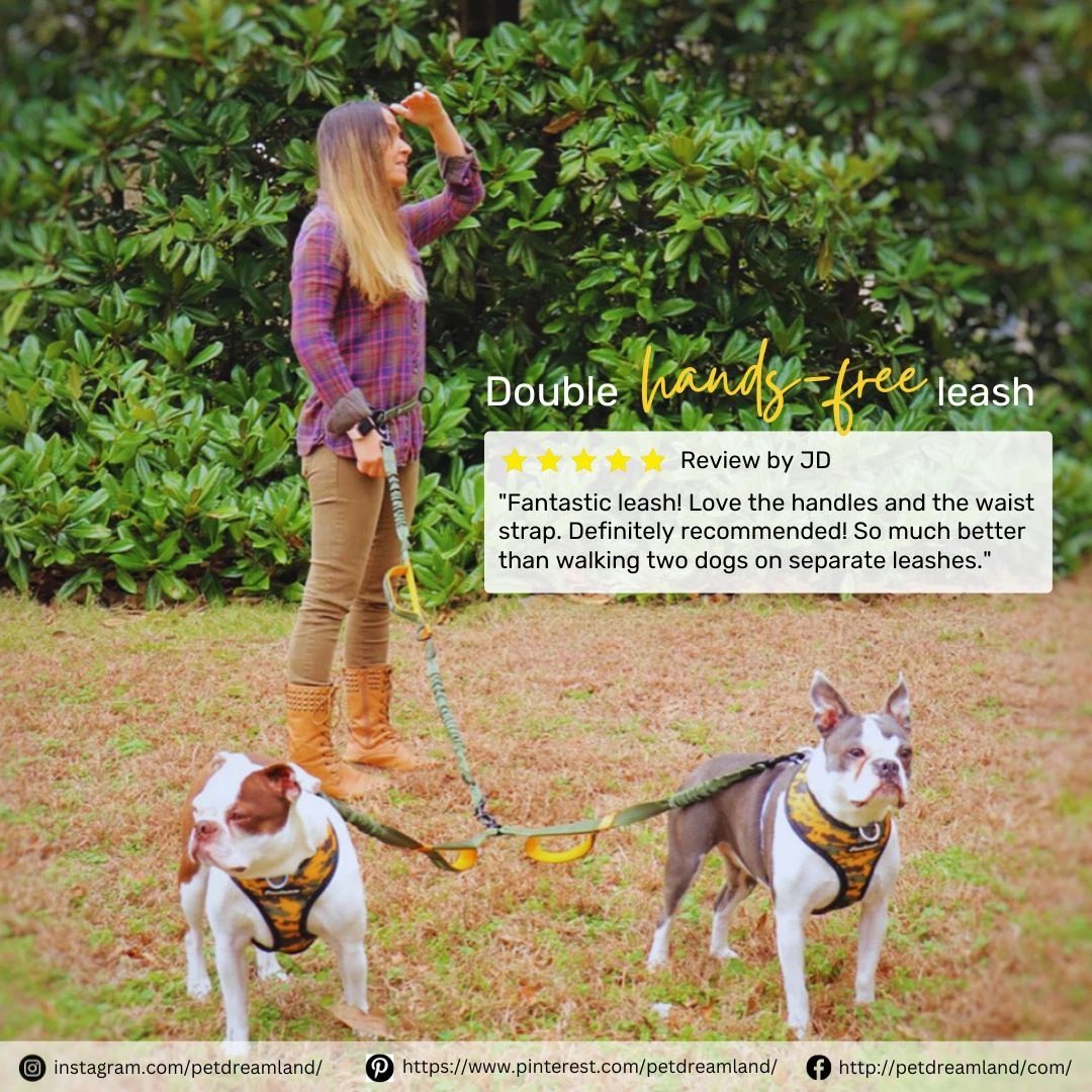 Hola! One of our happy customers just called our double hands-free leash 'fantastic' and we couldn't agree more.  🙌🌈

#dogstagram #dogsdaily #dogwalking #dogadventures #dogleash #dogrunning #dogtraining #spring #petsupplies #pets #dogleash #petproducts #doglovers #petdreamland