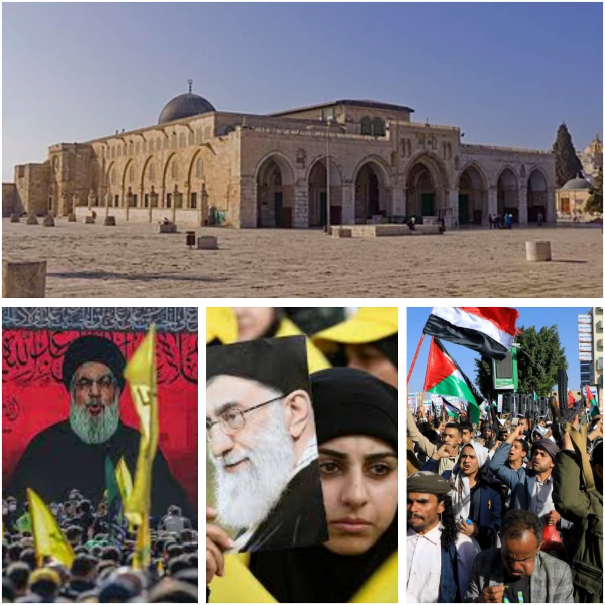 Ahdeya Ahmed AlSayed tweet media