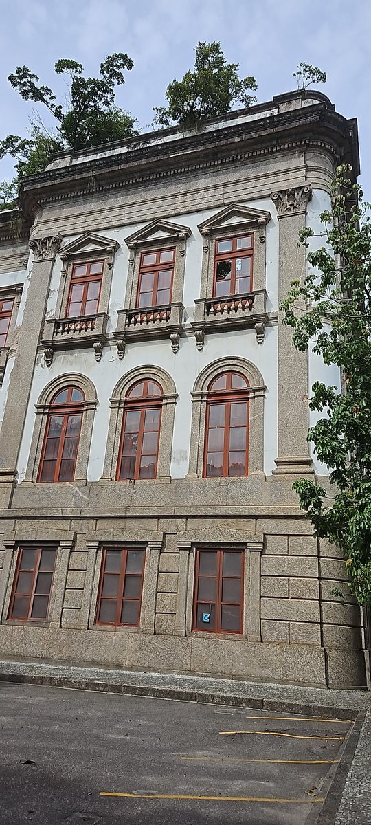 Flávio Codeço Coelho ✸ tweet media