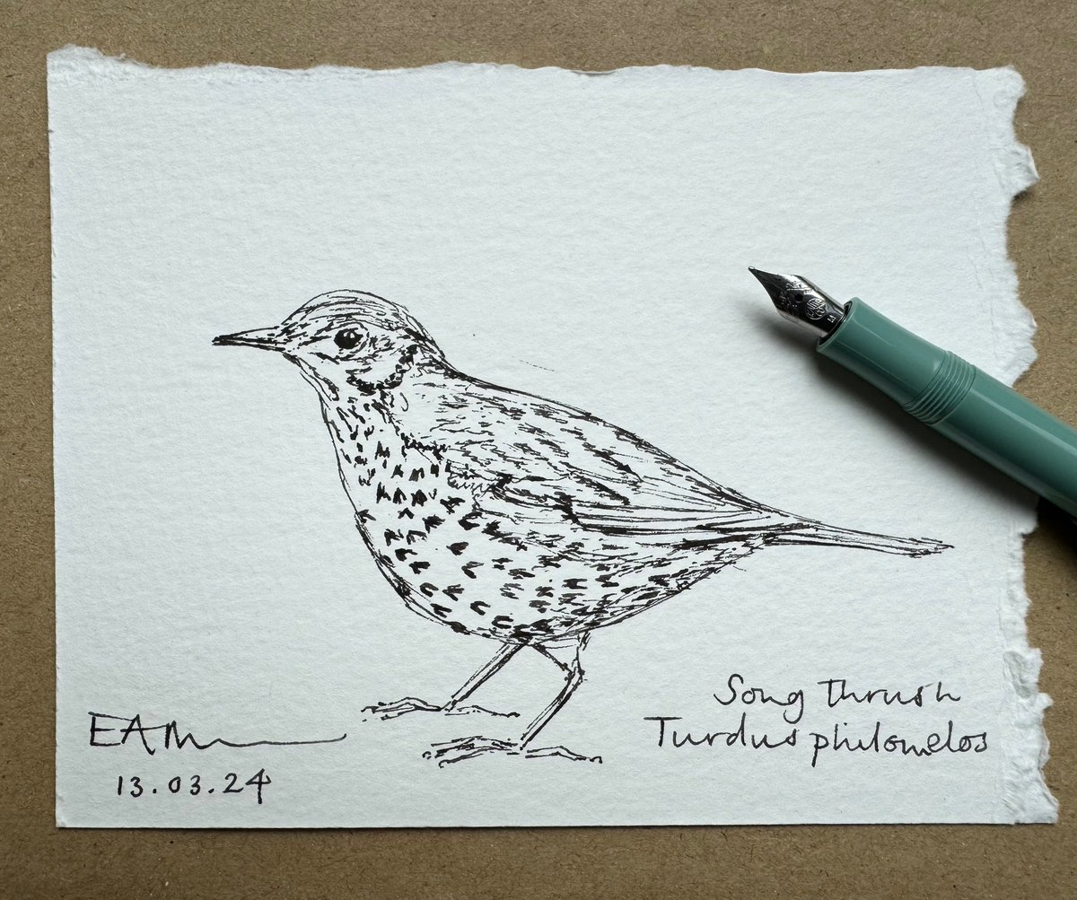 silverpebble's tweet photo. I know it's tragic to ask for a RT but the twit algorithm isn't so kind to small businesses these days so any boost for my new workshops would help so much👆. 

Thankyou x🌿 https://t.co/ac35E8zE1v