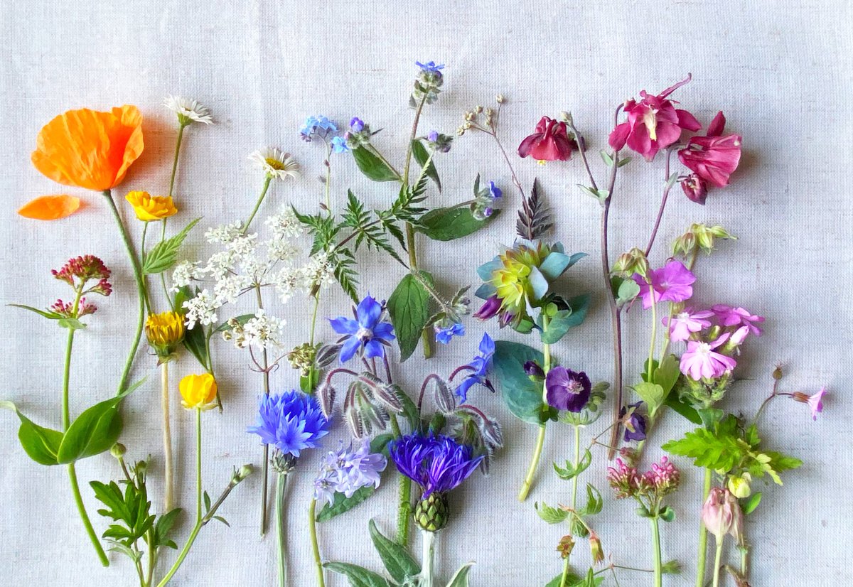 silverpebble's tweet photo. I know it's tragic to ask for a RT but the twit algorithm isn't so kind to small businesses these days so any boost for my new workshops would help so much👆. 

Thankyou x🌿 https://t.co/ac35E8zE1v
