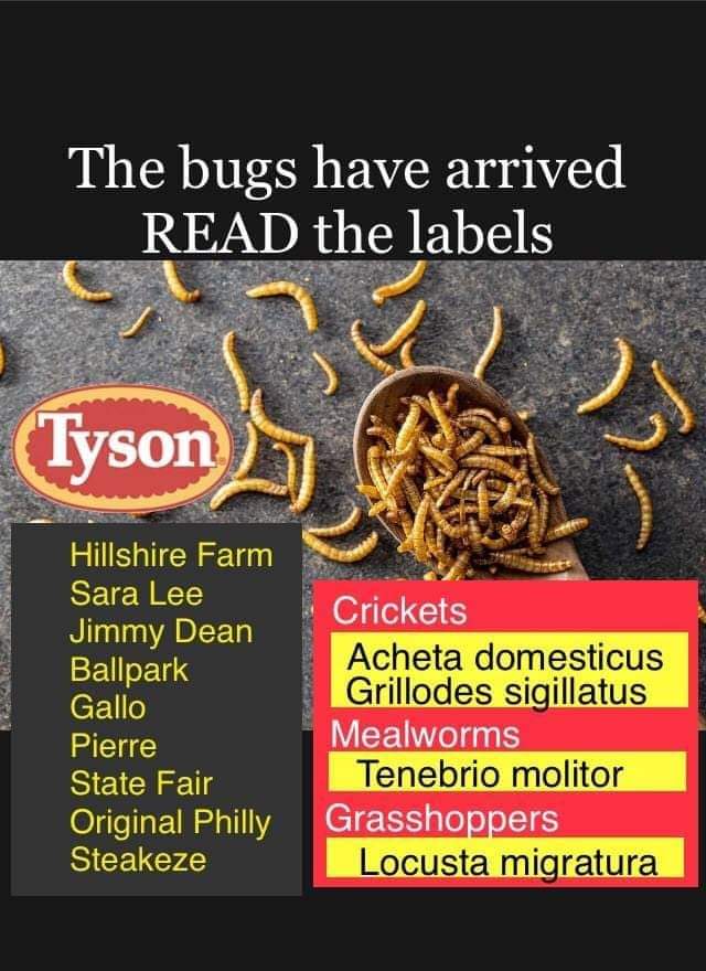 Bugs already in our food 🤢