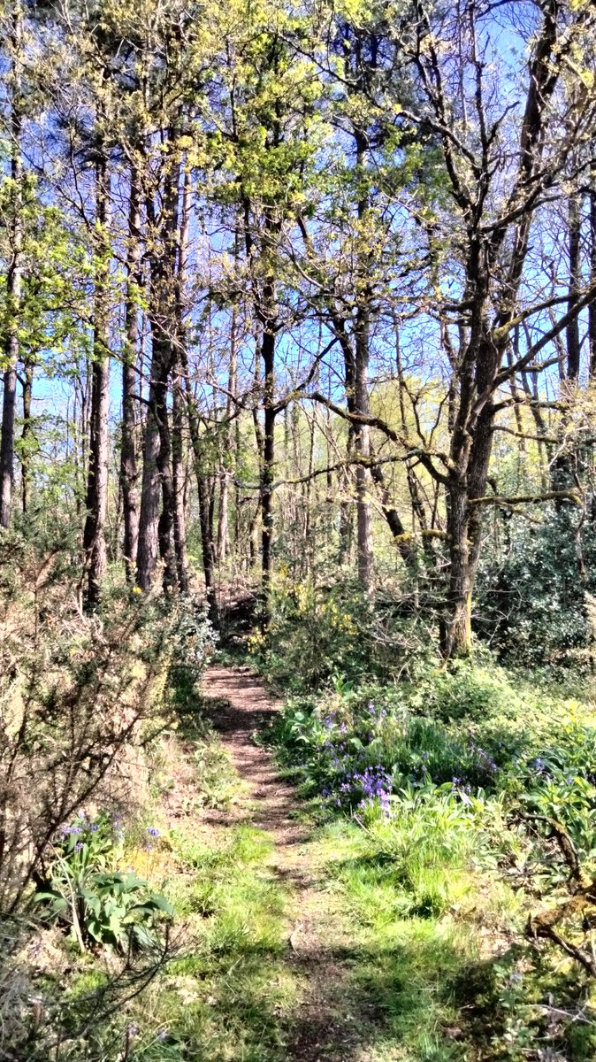 MathVrignault's tweet photo. Être Perdir c'est aussi savoir faire une pause, changer de tenue et profiter de la nature pour se ressourcer #bienêtre https://t.co/9w0YJdcI4l
