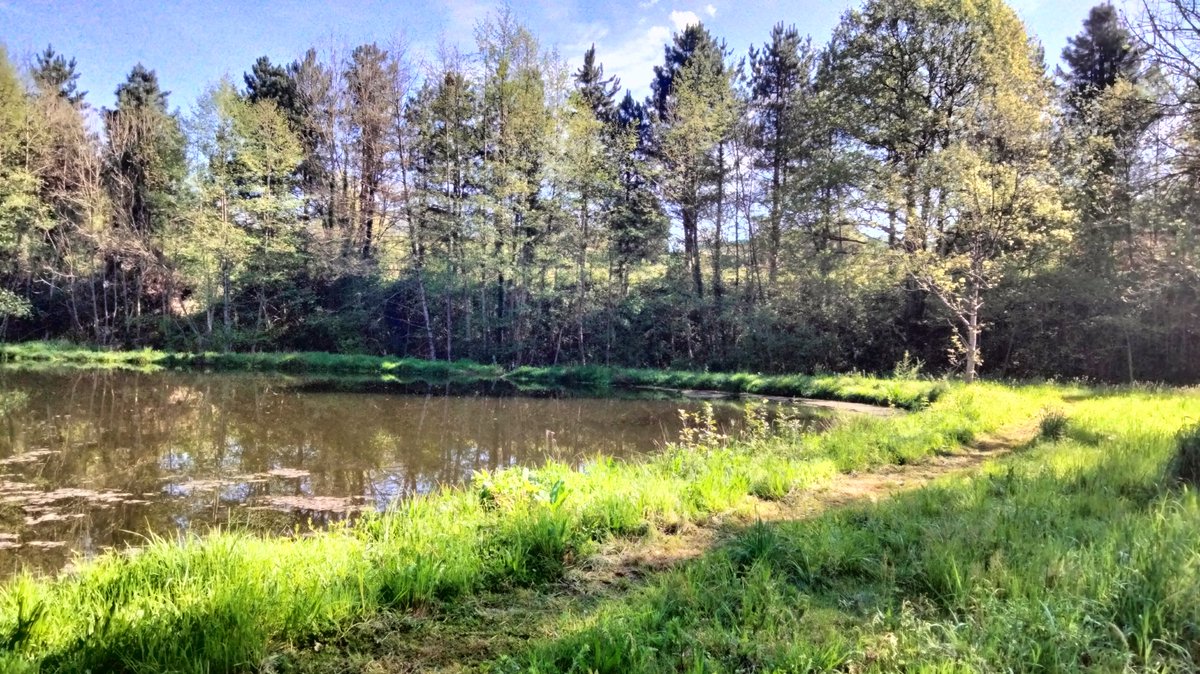 MathVrignault's tweet photo. Être Perdir c'est aussi savoir faire une pause, changer de tenue et profiter de la nature pour se ressourcer #bienêtre https://t.co/9w0YJdcI4l