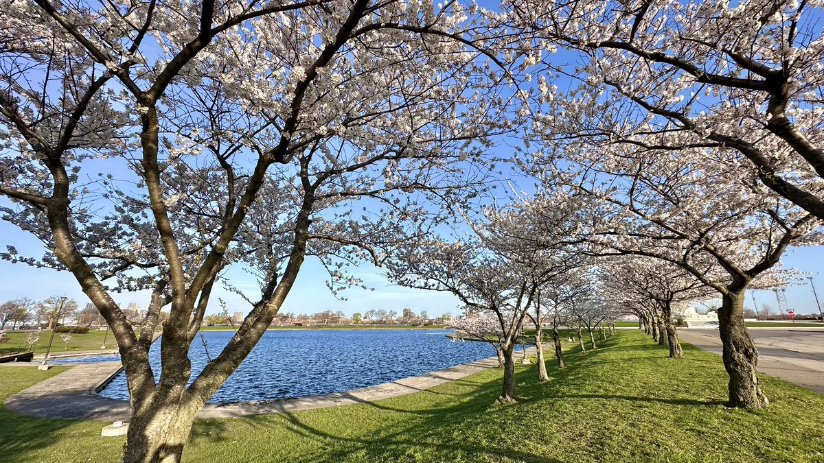 Glenn Stevens tweet media