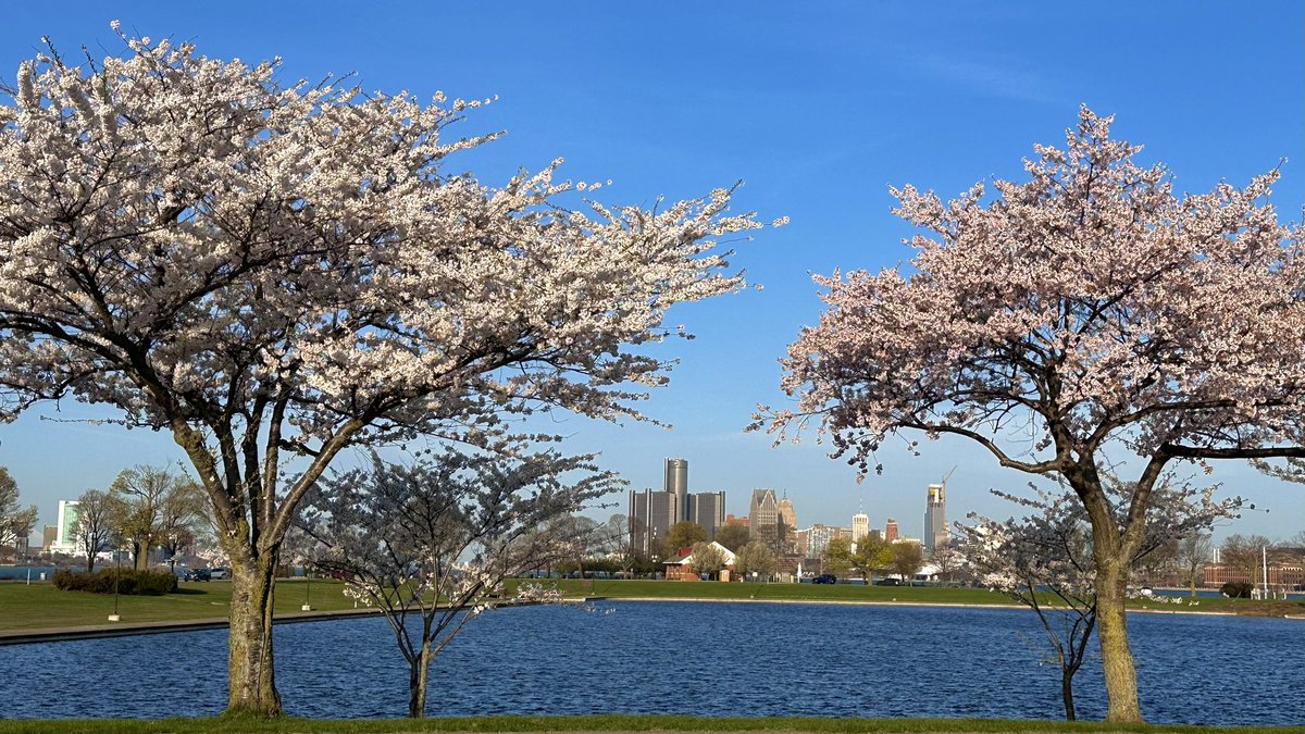 Glenn Stevens tweet media