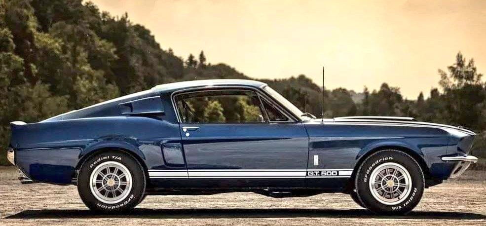 #ShelbySunday ☠️🏁