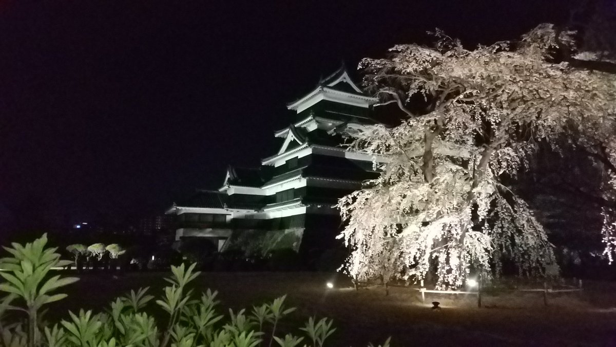 mihyat's tweet photo. 昨年は花見ができなかったので今年は地元中信地区でとことん堪能しています。
今晩見てきた松本城と夜桜はすばらしかった。夜の松本城の迫力と夜桜の美しさで幻想的だった。松本に世界的な建造物があることが誇らしい。 https://t.co/qHffKFugtH