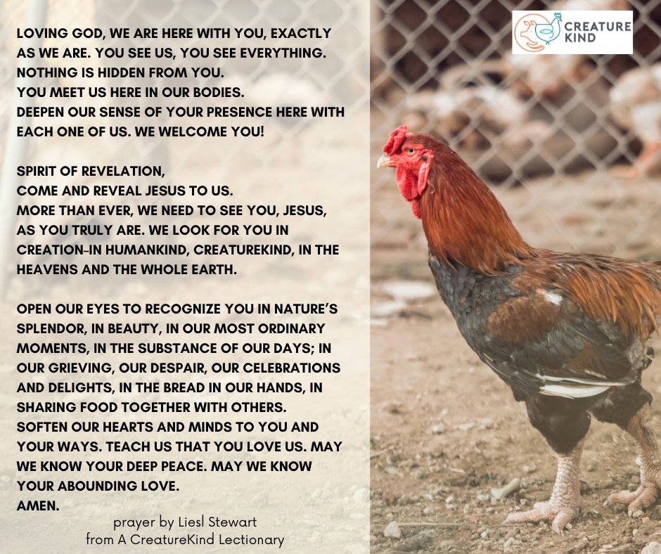 Embracing the spirit of the Third Sunday of Easter with a mission to cultivate collective liberation for all creatures, peoples, and the Earth. May we continue to advocate for farmed animals and sustainable food systems, embodying the interconnectedness of God's Creation.