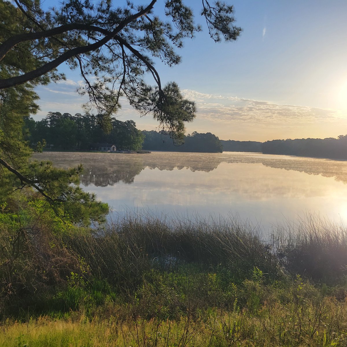 Culpepper_CH's tweet photo. Saturday 12 miler at Huntsville state park. The  Wolfpack crew had a great run. Back to normal next week. Treadmill climbs with some strength training are on tap for Sunday. #trailrunning #ws100 #sundogrunning https://t.co/IuKnVvZ57F