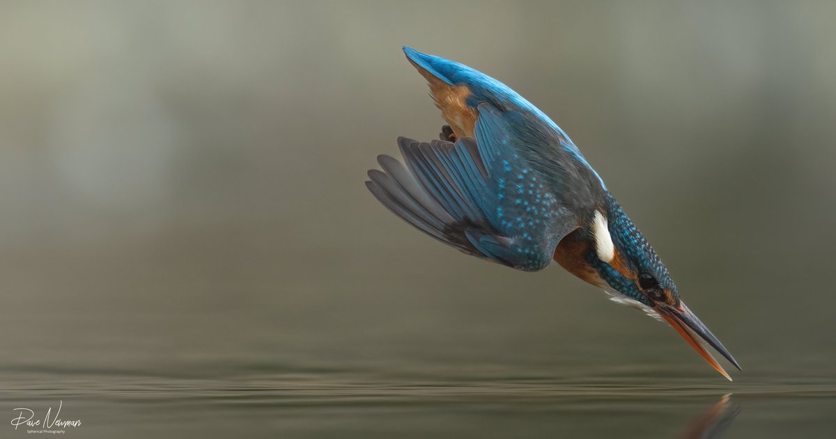 Dave Newman's Spherical Photography tweet media