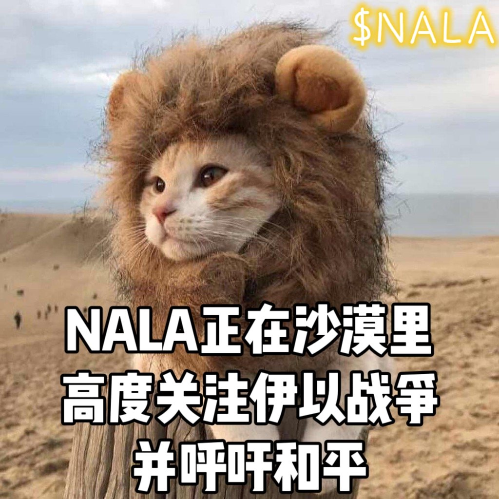 NeilSaul8's tweet photo. @web3cryptoMia 打得都是 $nala 的钱包 https://t.co/pQkdD1Ydeh