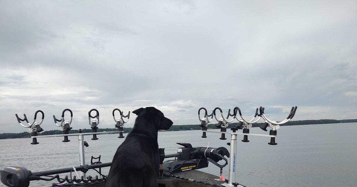 millenniumarine's tweet photo. Spider Rigging with our R-100 Spyderlok Pro Tip โข Use your longest lines in the middle rod holders, and your shorter lines on the outer rod holders!ย
๐ธ Ken Frost
#MillenniumMarine #FishMillennium #fishing #rodholder #spyderlok #spiderrigging #crappiefishing https://t.co/RI4cKHqGD5
