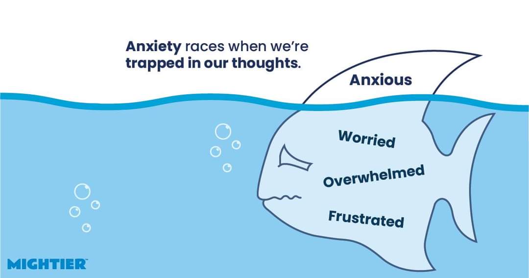 Gerry🧠🌱 tweet media