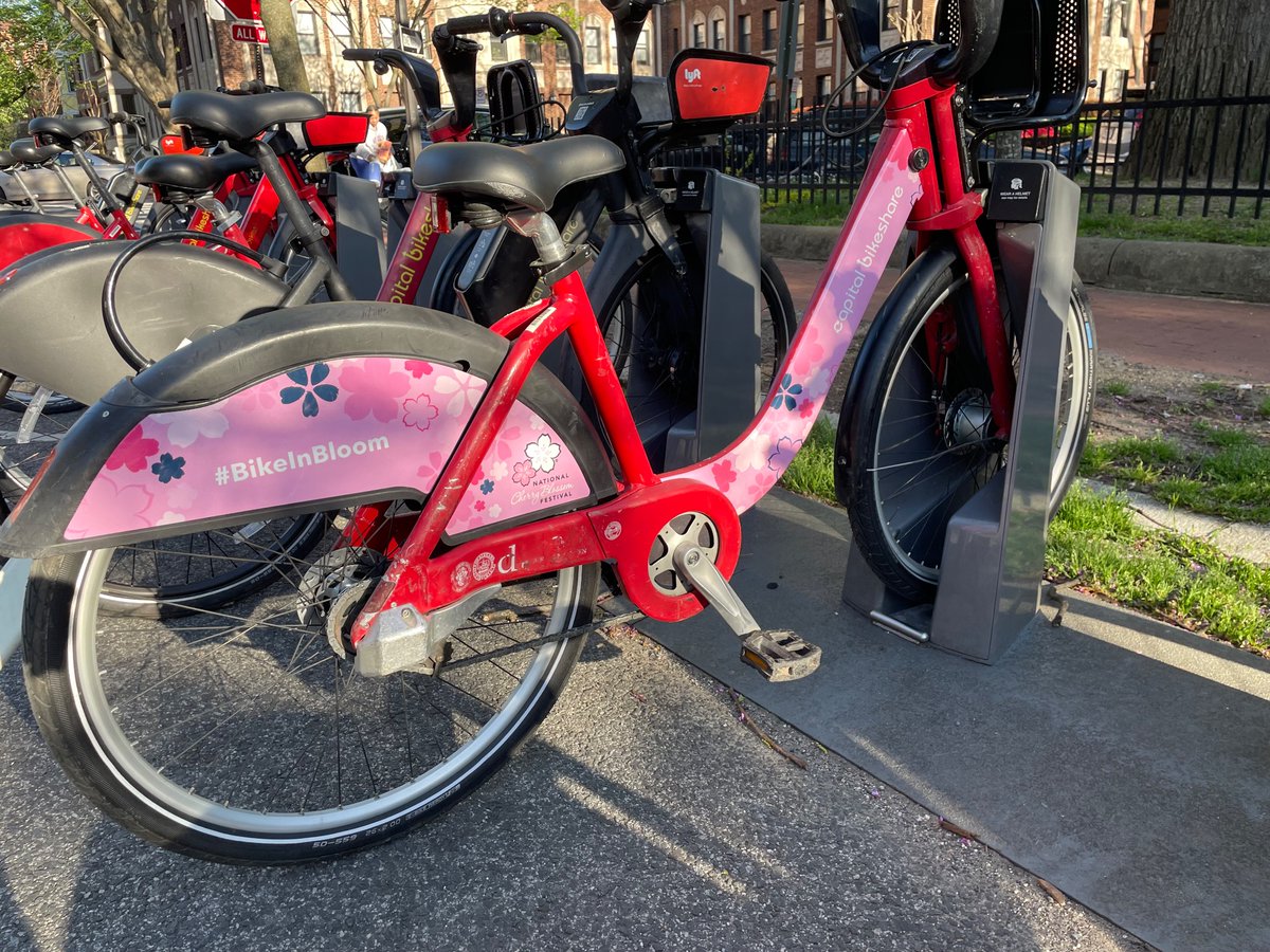 jonsteingart's tweet photo. Spotted a #BikeInBloom on a gorgeous spring day 🌸☀️✌️ https://t.co/meslhrueuQ