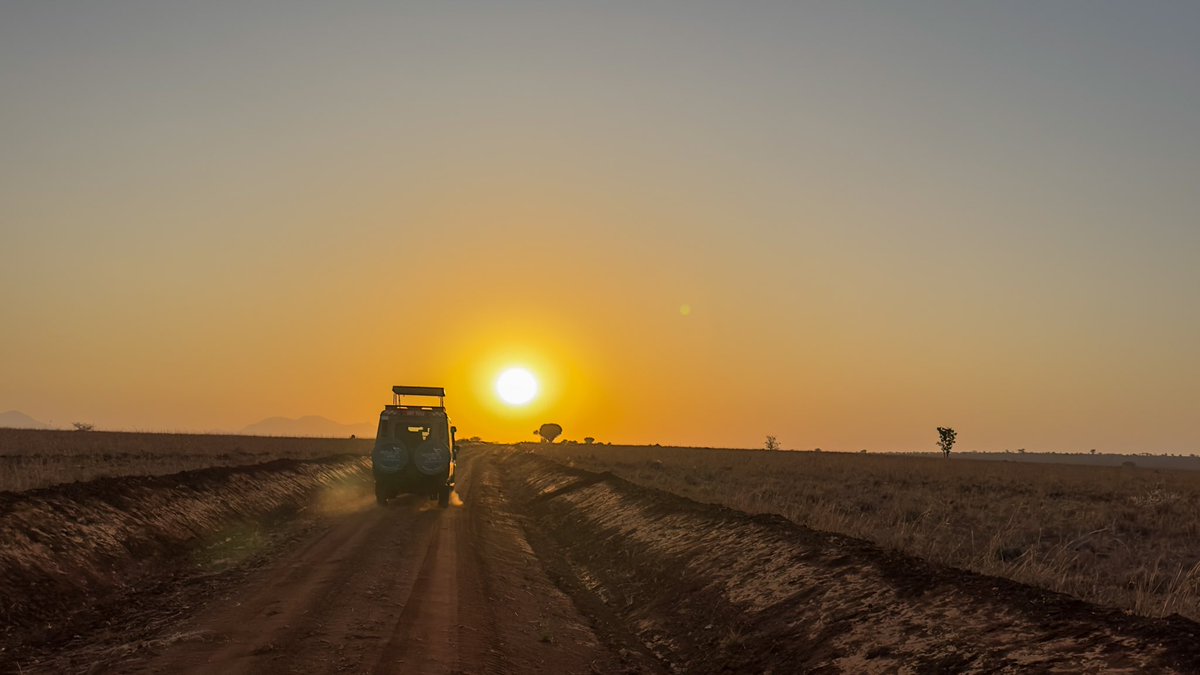 Out here chasing sunsets on our exclusive Signature Safari adventures 😊. Join us for the very best safari adventures and moments 

#wearesignature #signature #gamedrive #explore #safariphotography #explore #journeysbeyond