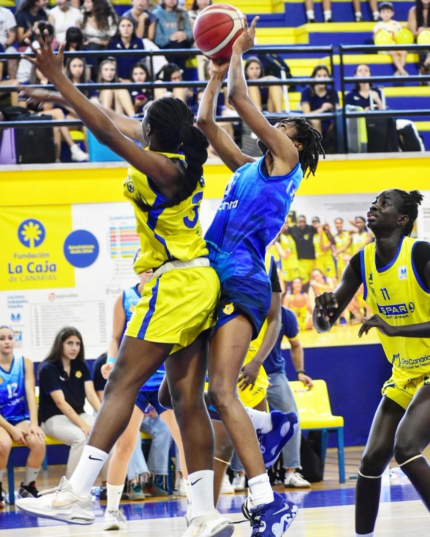 BaseCBGC's tweet photo. 🔥🔥🔥

Nuestras júniors, campeonas de Canarias tras vencer por 48-51 al SPAR Gran Canaria... ¡Enhorabuena al equipo y cuerpo técnico, qué gran título!

🔥🔥🔥 https://t.co/8EidMKHKhd