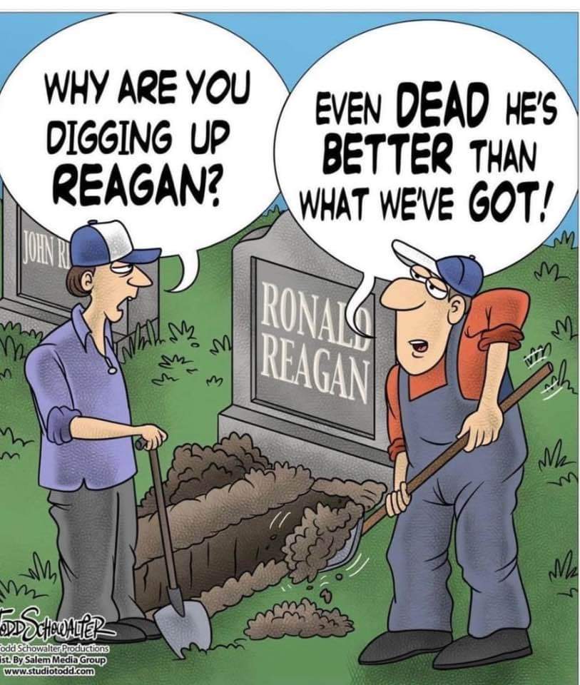 Boflusa (@boflusa) on Twitter photo 