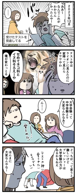 お兄ちゃんだから頑張れた大学受験 ⑫
ライオンはチワワ (1/2)

#コミックエッセイ
#漫画が読めるハッシュタグ 