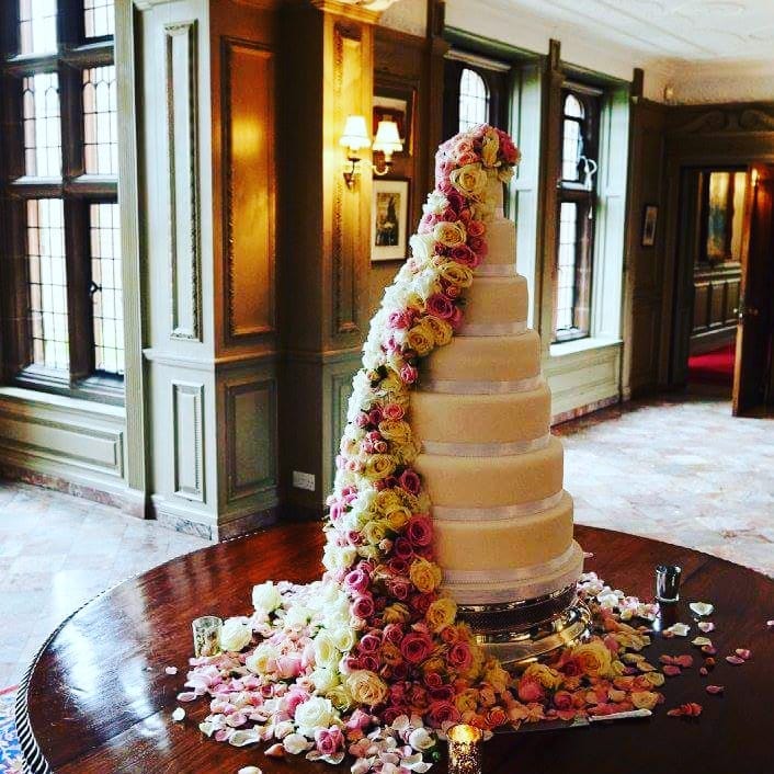 The Cake Box tweet media