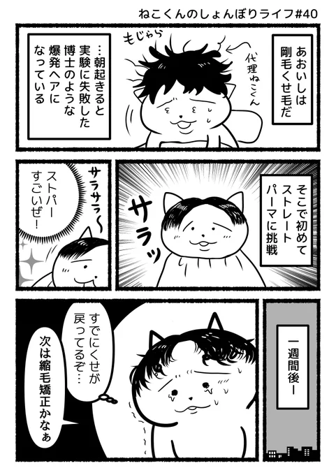 #ねこくんのしょんぼりライフ
『まっすぐになりたい』 