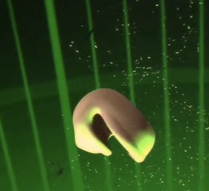 SimpsonsAlbums's tweet photo. Animal Collective- Centipede Hz (2012) https://t.co/B9tR1bZsK2
