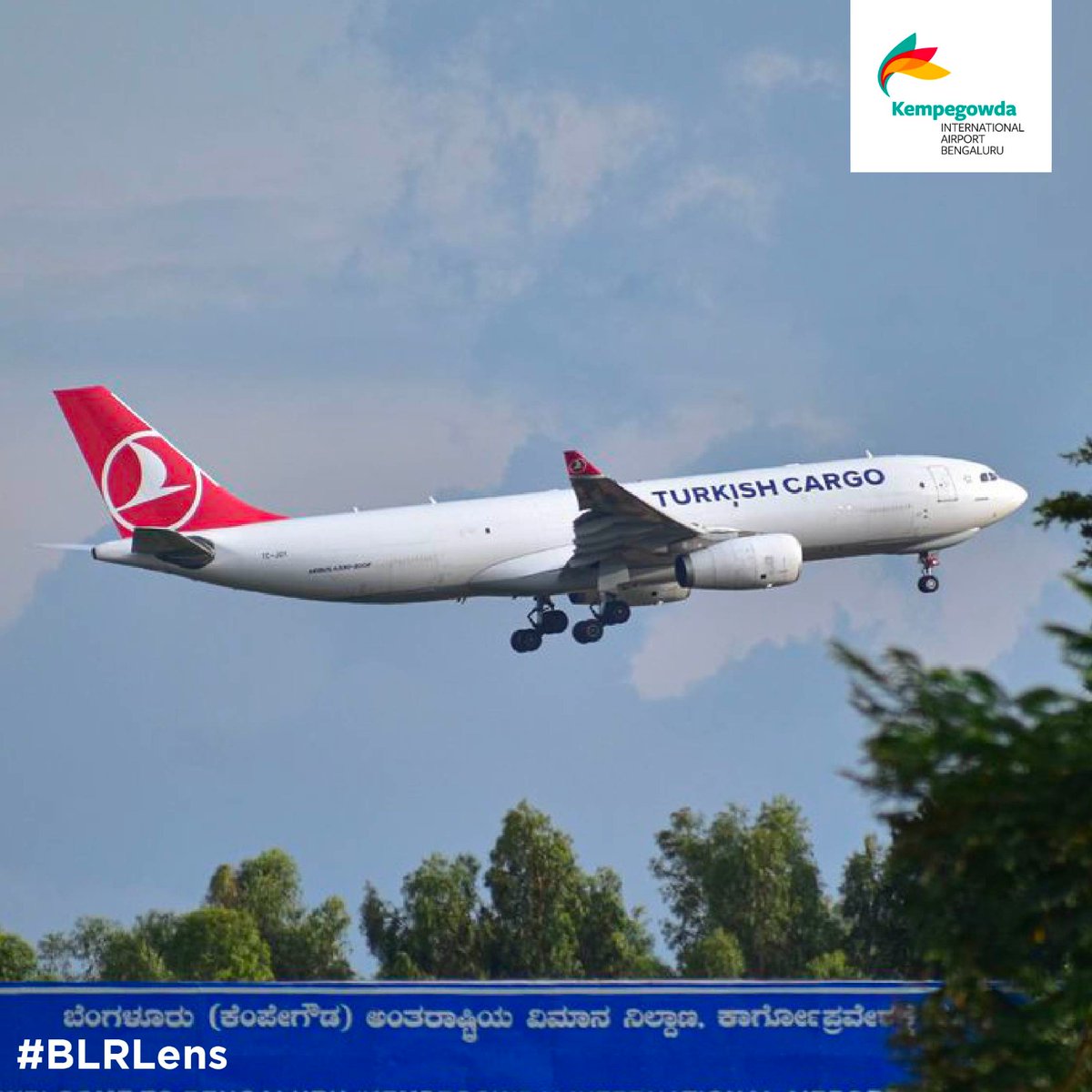 Turkish Cargo at #BLRAirport! Captured by @bengaluru_aviation #BLRLens #aviation #airlines #cargo #avgeeks