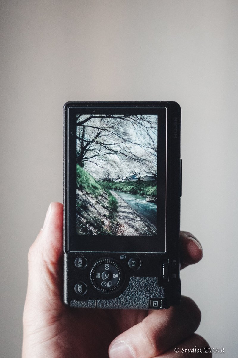 cedar_studio's tweet photo. Late Spring
←camera GRⅢ
                            photo→ https://t.co/JiVyVwJWNG