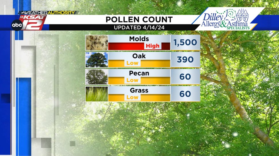 KSATSarahSpivey's tweet image. 🤧Sunday's Pollen Count🤧 (4/14/2024)

Mixed bag with today's could. Oak is finally back down to low numbers. However, molds jump into the high category. Pecan and grass is low. #KSATweather