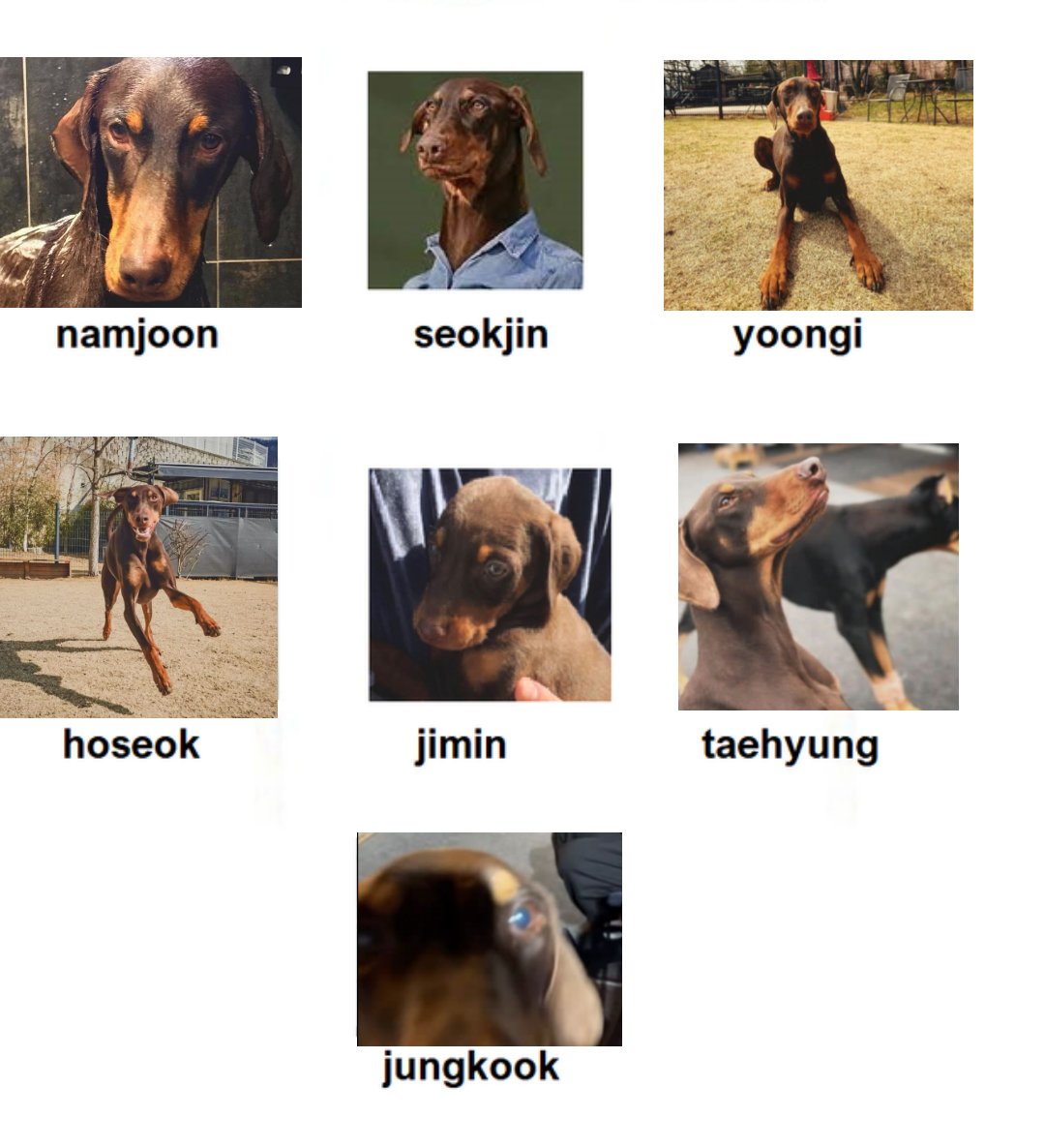 mhereonlyforbts's tweet image. BTS BUT EVERYONE IS BAM