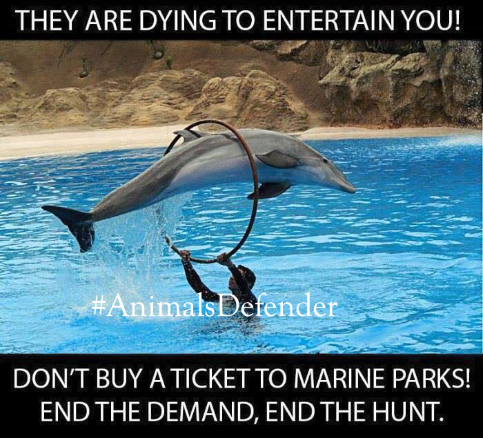 Only man is capable of such a thing. With his never-ending greed for money and dominance over wild animals
#EmptyTheTanks 
Stop #exploitation 
They are not yours, you stole them