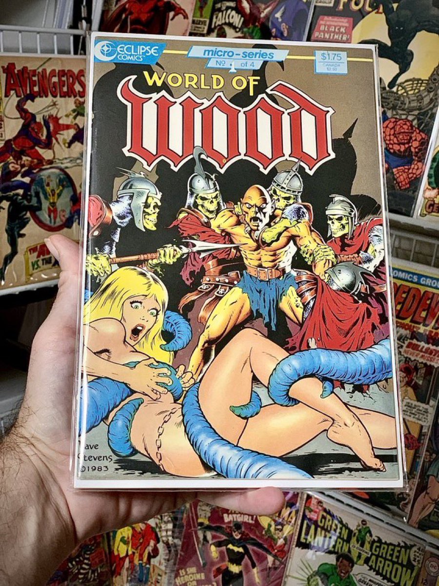 TOP 10 COMIC BOOKS # 2 WORLD OF WOOD 1 Dave Stevens cover from 1986. $40(F)-$100(NM) 🔥🔥🔥🔥 When another Stevens cover gets over $100, collectors move to the next cheaper option. It drove this book nuts! It was $30 NM last year but copies are being absorbed into collections. 💫
