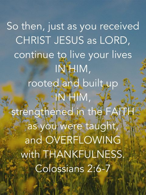 ⛅️😊☕️Happy Sonday! Whether God gives you the desire of your heart or not, stay grateful. If there's a delay, see it as an opportunity to grow in patience.🍃🌼 If you can't understand things, don't lose hope. Trust Him with all of your heart, for God always has a plan.🍃🌼