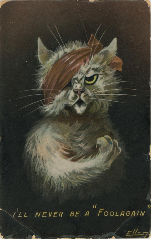 #Archive30 #ArchiveAnimals Suffragettes were often portrayed as cats It was thought that portraying campaigners as such would imply the idea of women voting as absurd: cats were seen as passive, feminine & ineffectual. There may also have been a nod to the 1913 Cat & Mouse Act