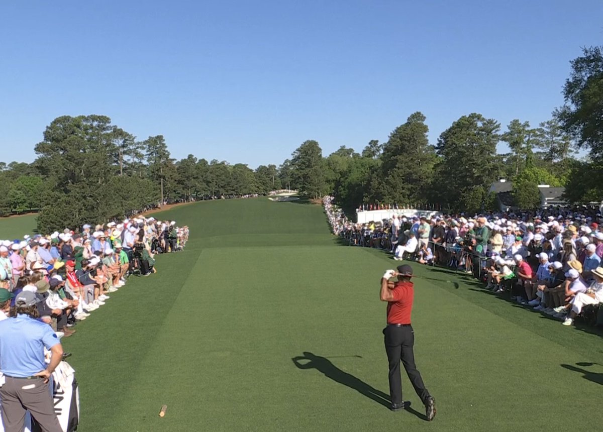 Sun Day Red at Augusta. 🐅