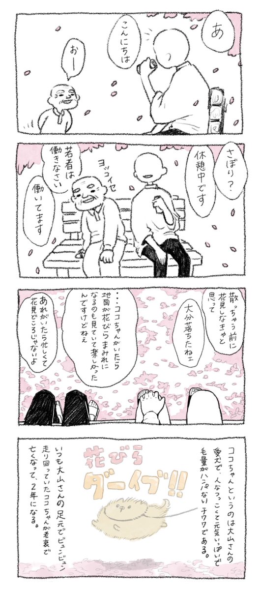 妹「お気に入りの公園でよく出会うおじいちゃんがいる。この前一緒に花見した」 