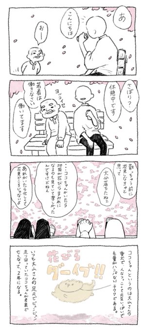 妹「お気に入りの公園でよく出会うおじいちゃんがいる。この前一緒に花見した」 