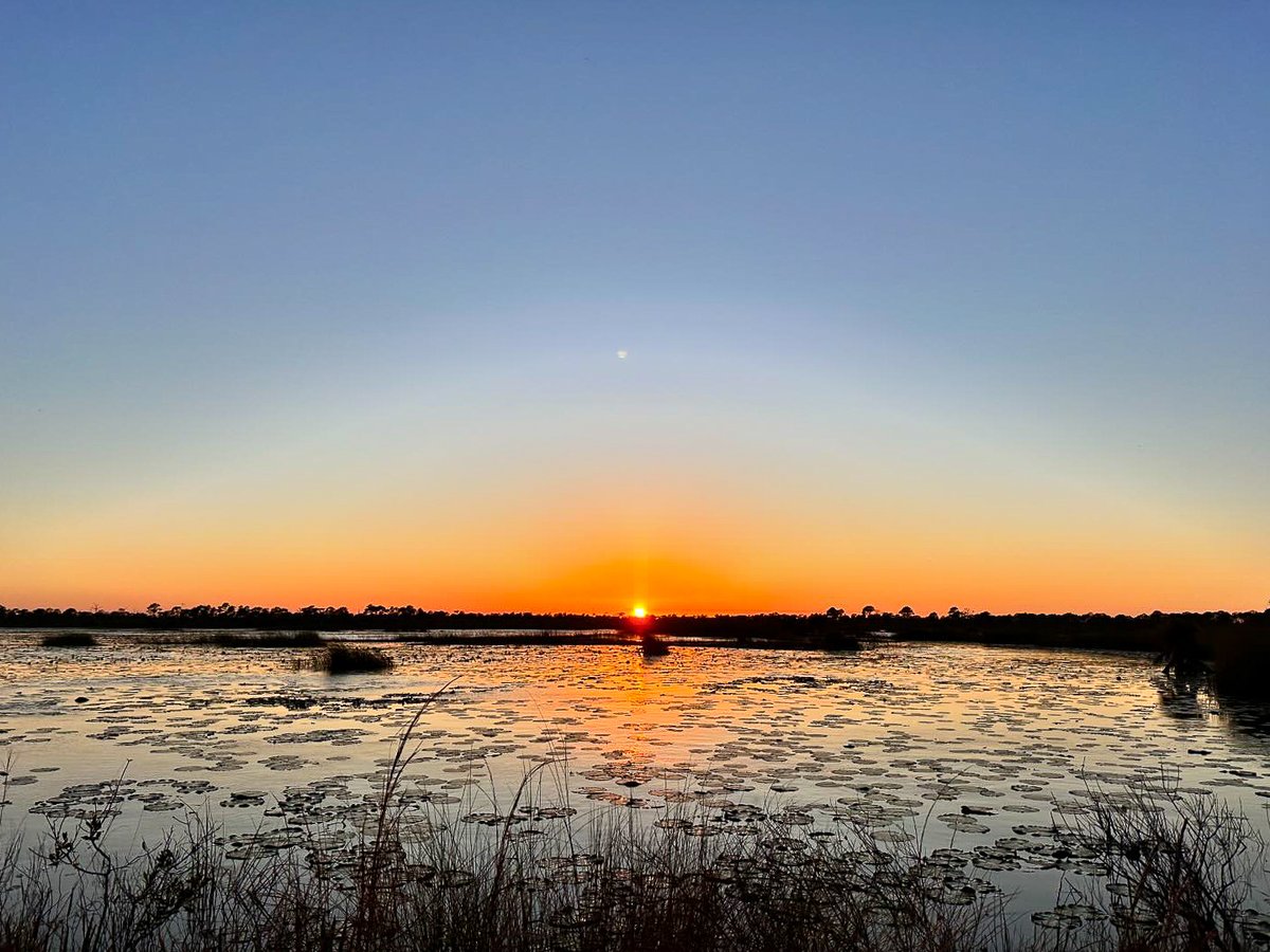FLStateParks's tweet photo. #SunscapeSunday 🌞

Refresh &amp; recharge at 📍 Savannas Preserve State Park. It’s one of Florida’s most ecologically diverse basin marsh systems &amp; this undisturbed area is the perfect place to experience #TheRealFlorida! 🛶🐟

📷IG: filouminou_2.0
🌐: https://t.co/eMZFiU10ze https://t.co/rCaRUvmyJR