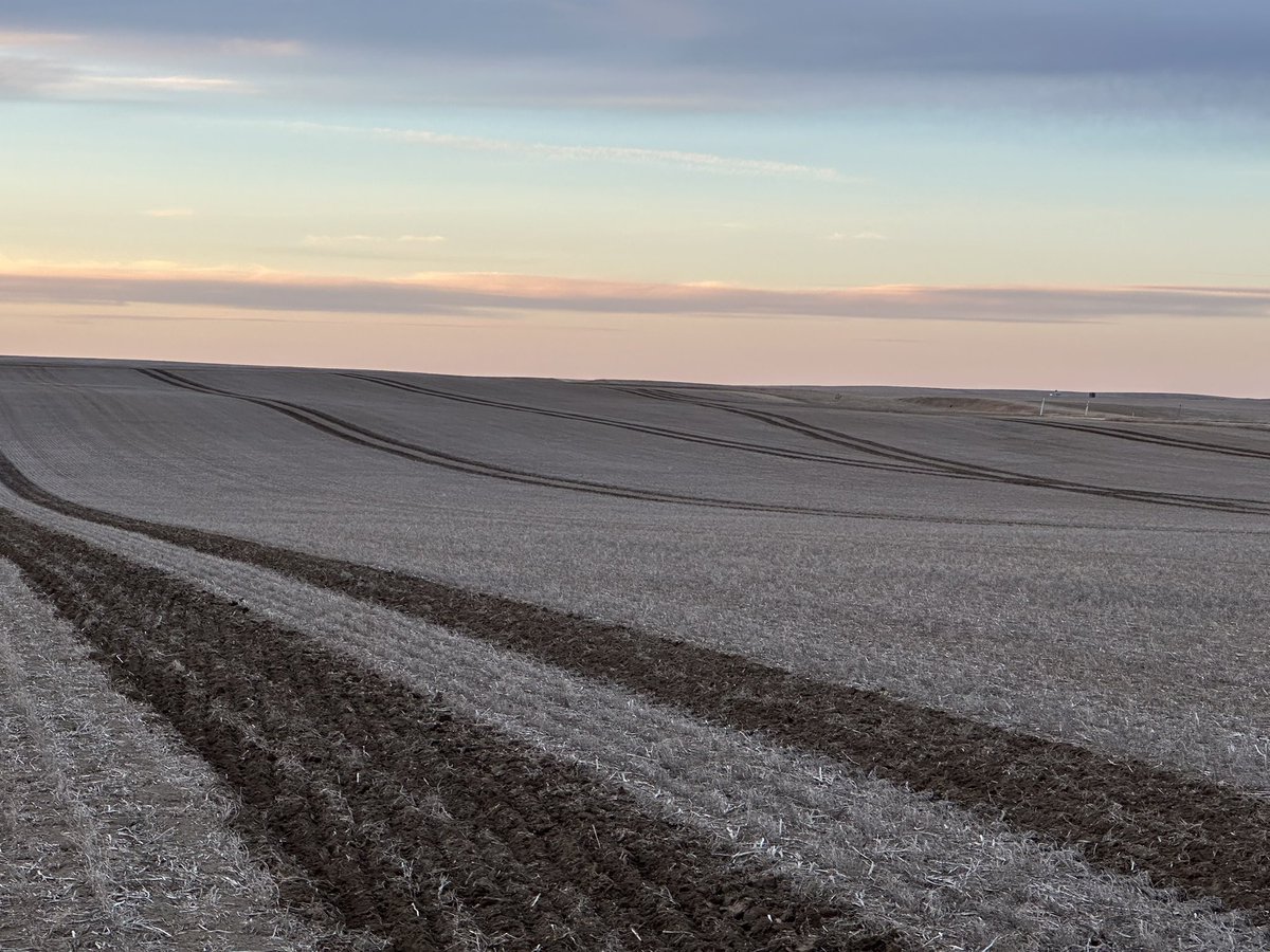 Linden Hartman tweet media