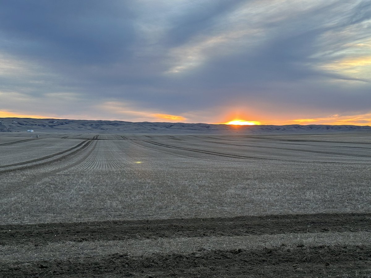 Linden Hartman tweet media