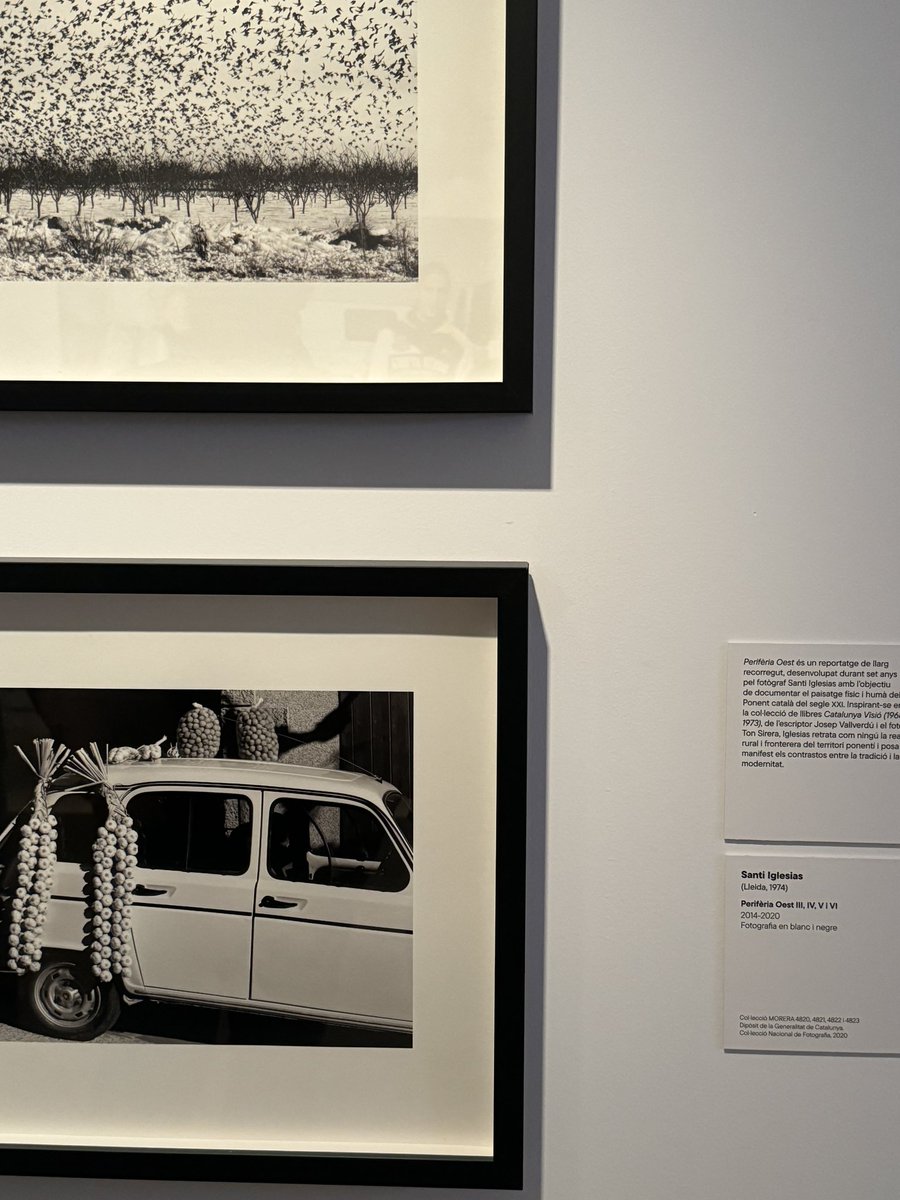 ripu77's tweet photo. Més de 100 fotos he fet!
L’instagram de les lleidatanes ha estat @MuseuMorera aquest finde!
Tot de casa ❤️🩹
#toniprim #santiiglesias @JordiVPou #olgaoliveratabeni
Brutal! ✨
#elnouMORERA https://t.co/NIw4hA2llk