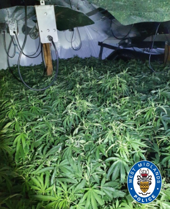 Walsall Police tweet media