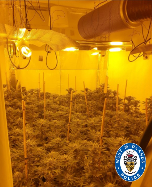 #WARRANT | We executed a drugs warrant in #Aldridge yesterday morning. Inside we found nearly 300 cannabis plants in the bedrooms.

A 36-year-old man was arrested and has since been charged with production of cannabis. He will appear before Wolverhampton magistrates tomorrow.